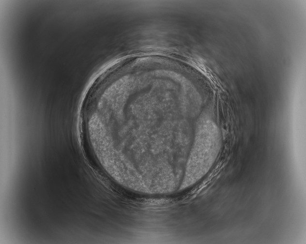 X0000095950342200802081302