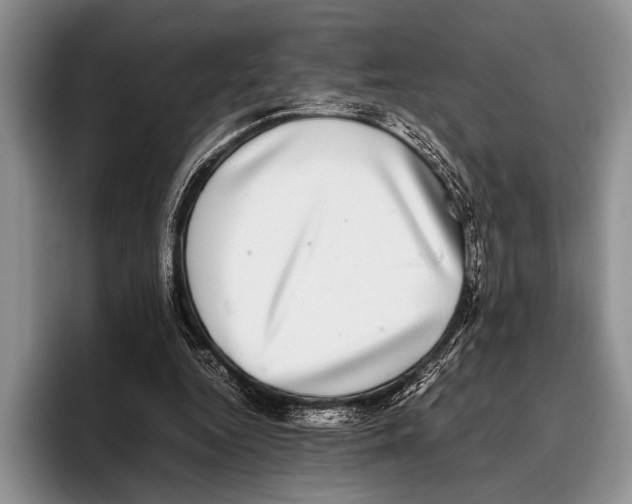 X0000095950344200802081302