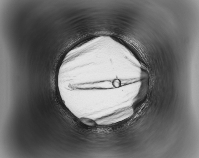 X0000095950345200802081302