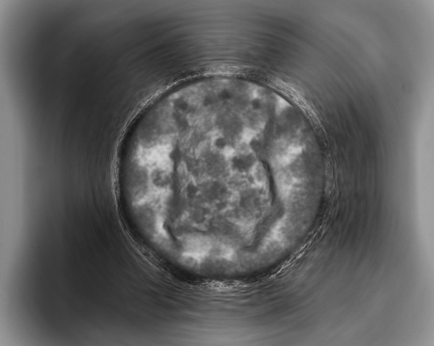 X0000095950346200802081302