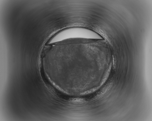 X0000095950348200802081302