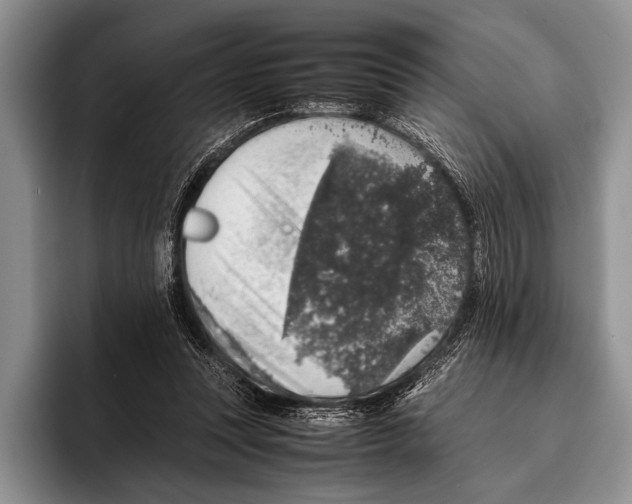 X0000095950351200802081302