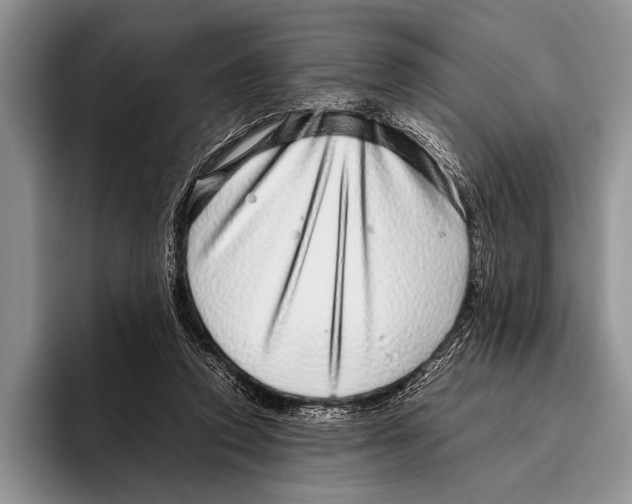 X0000095950354200802081302