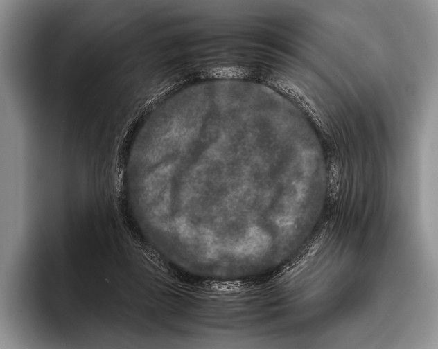 X0000095950355200802081302