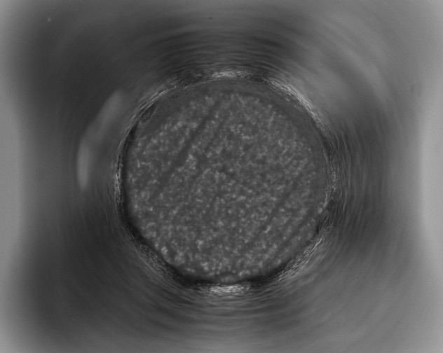 X0000095950357200802081302