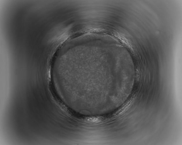 X0000095950358200802081302