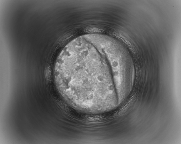 X0000095950359200802081302