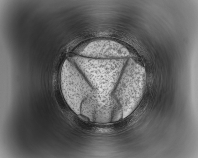 X0000095950360200802081302