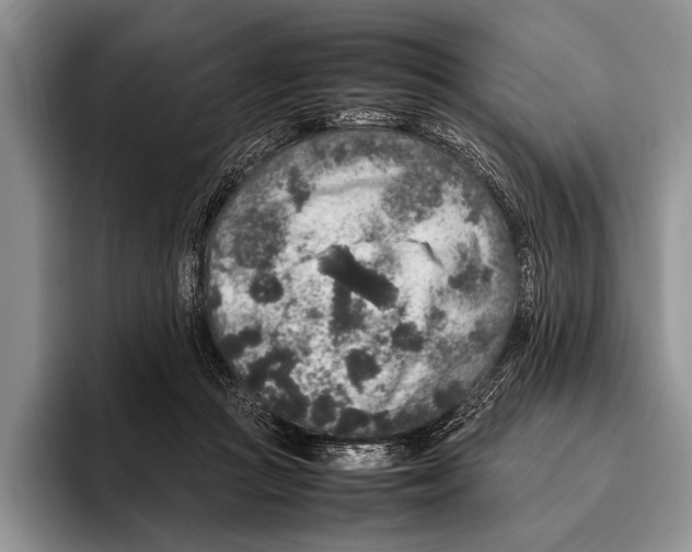 X0000095950361200802081302