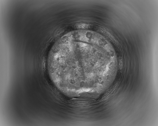 X0000095950363200802081302