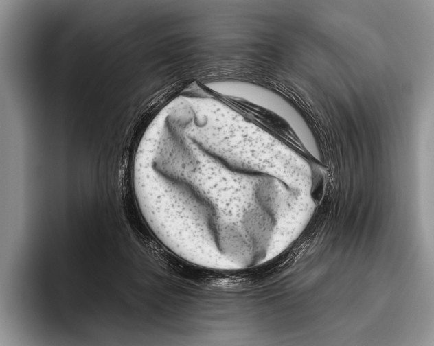 X0000095950364200802081302