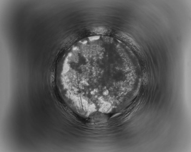 X0000095950365200802081302