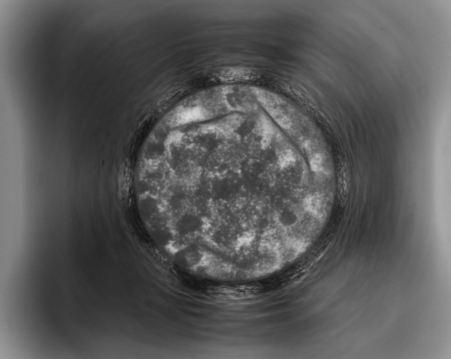 X0000095950367200802081302