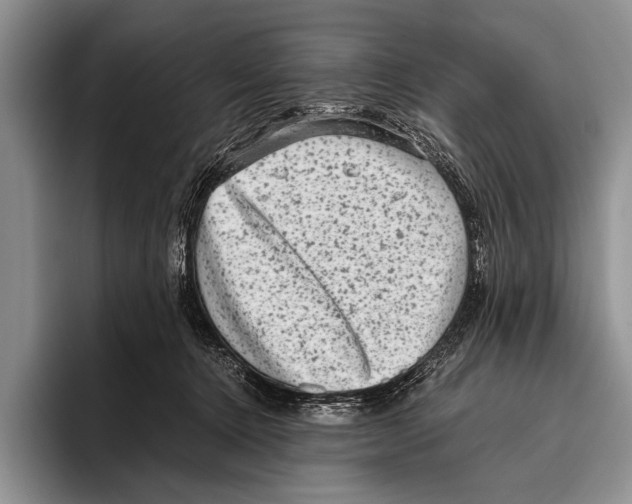 X0000095950368200802081302