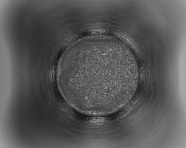 X0000095950369200802081302