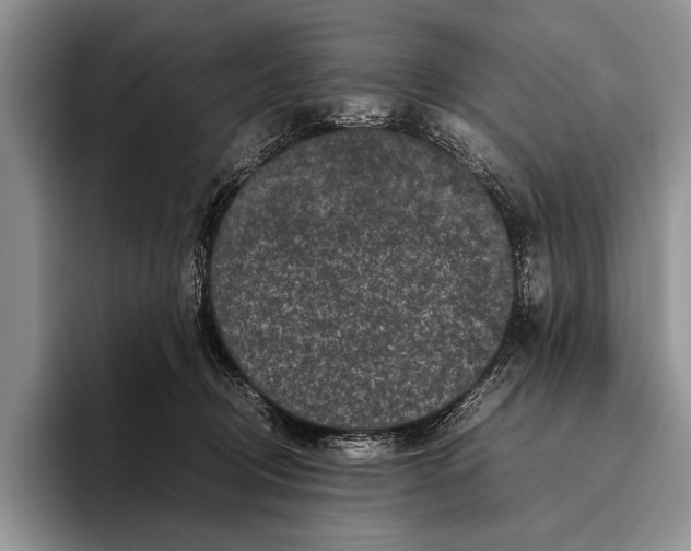 X0000095950370200802081302