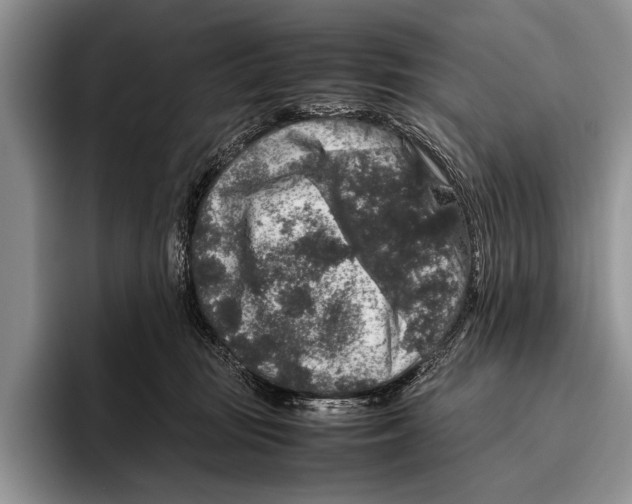 X0000095950371200802081302