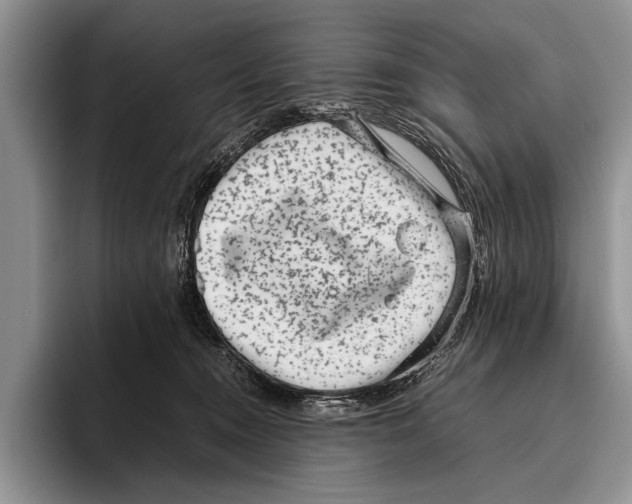 X0000095950372200802081302