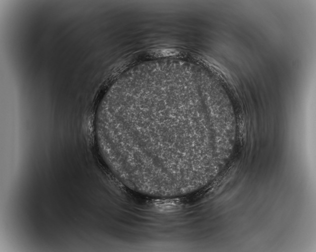 X0000095950373200802081302