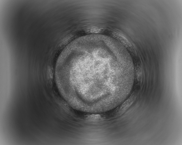 X0000095950374200802081302