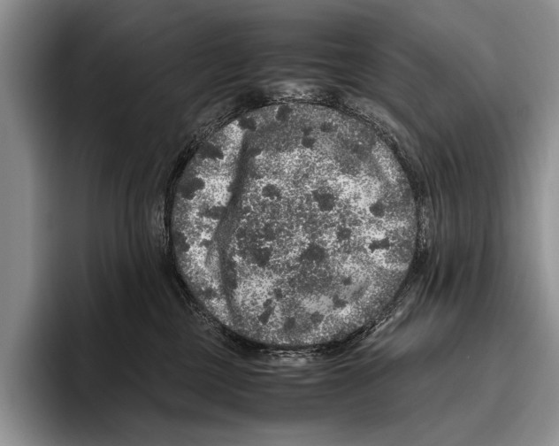 X0000095950377200802081302