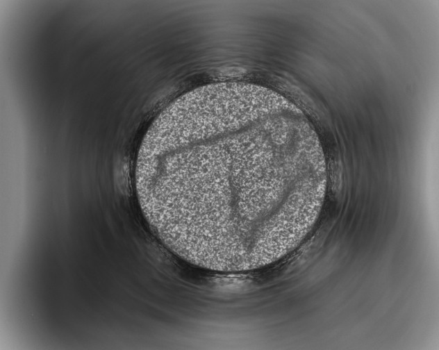 X0000095950378200802081302