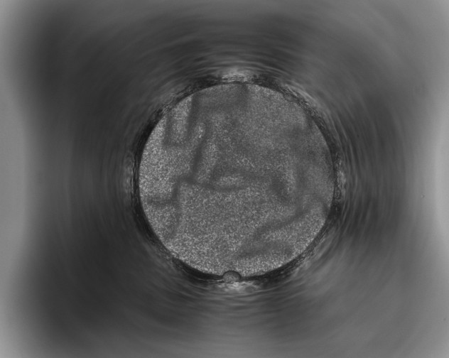 X0000095950379200802081302