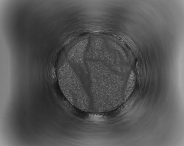 X0000095950380200802081302