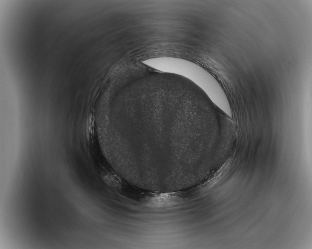 X0000095950382200802081302