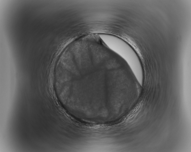 X0000095950385200802081302