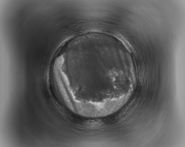 X0000095950386200802081301