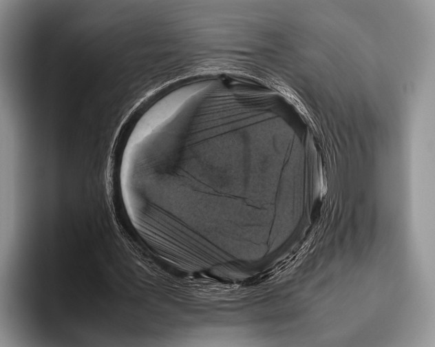 X0000095950387200802081301