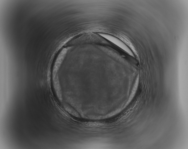 X0000095950389200802081301