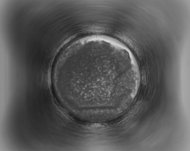 X0000095950390200802081301