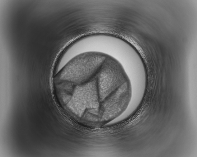 X0000095950391200802081301