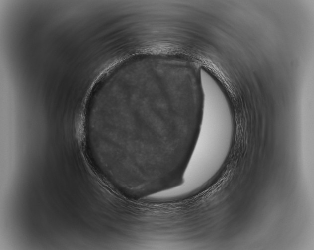 X0000095950392200802081301