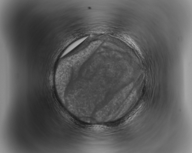 X0000095950393200802081301