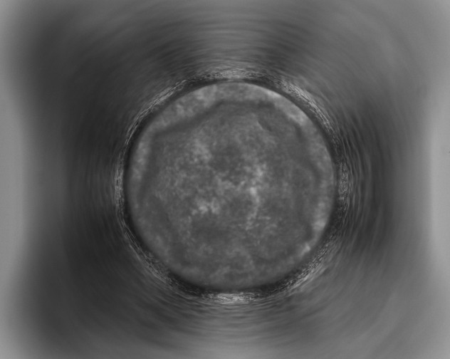 X0000095950394200802081301