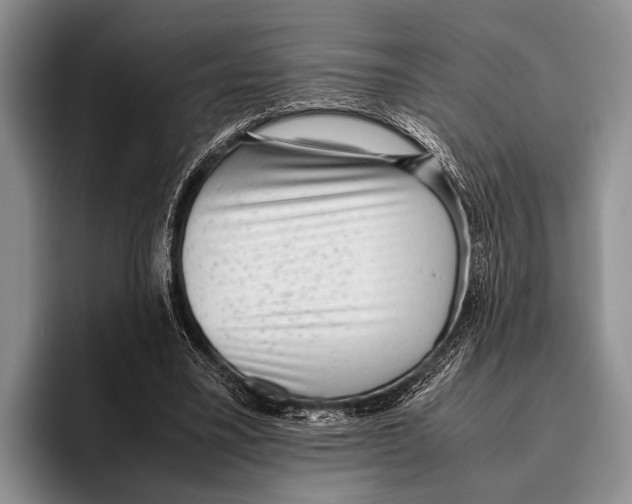 X0000095950395200802081301