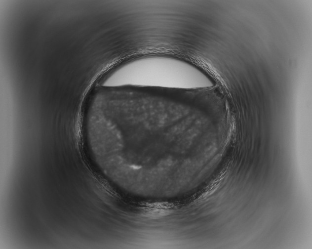 X0000095950396200802081301