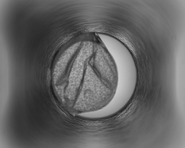 X0000095950397200802081301