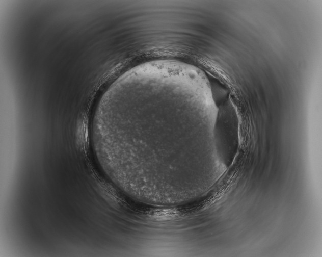 X0000095950398200802081301