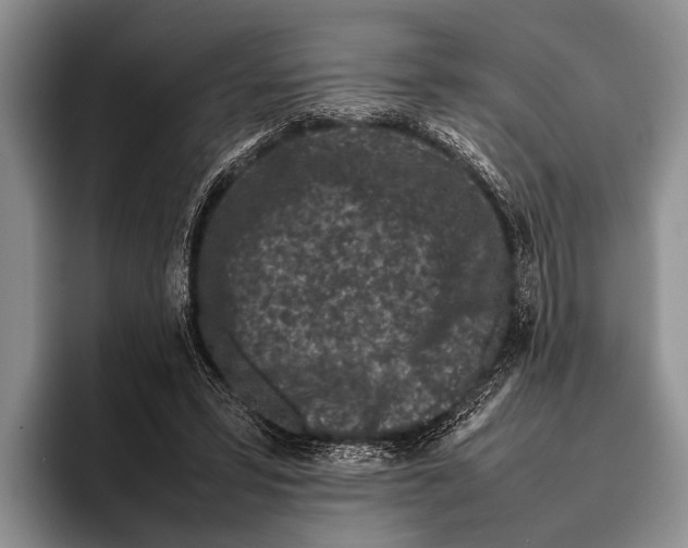 X0000095950399200802081301