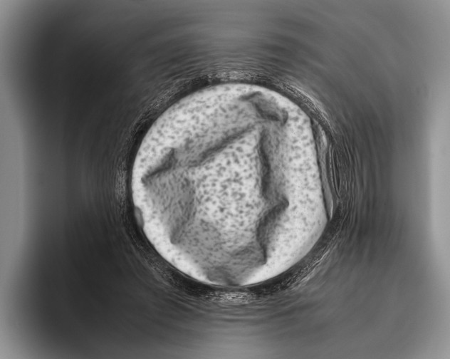 X0000095950401200802081301