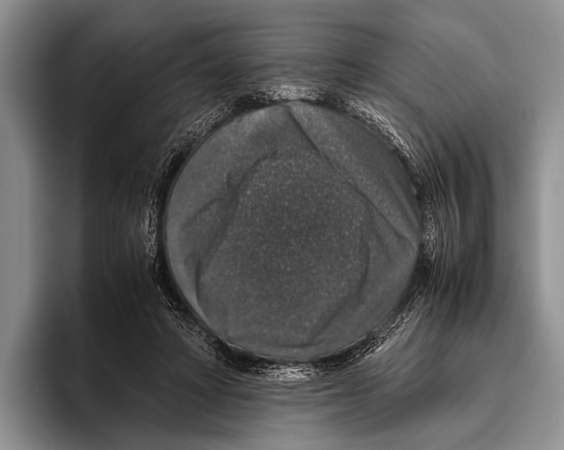 X0000095950402200802081301