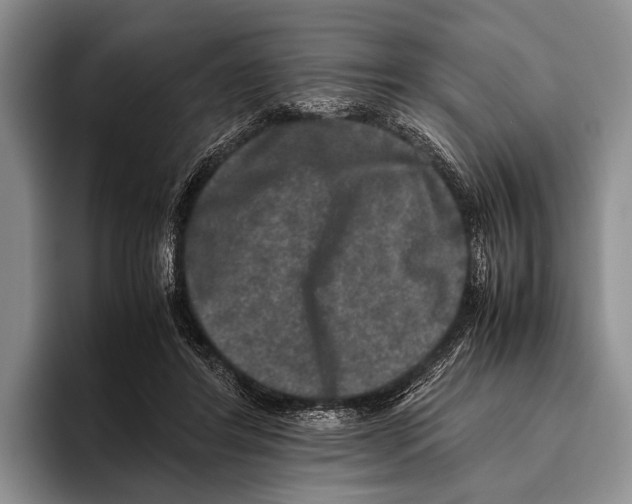 X0000095950404200802081301