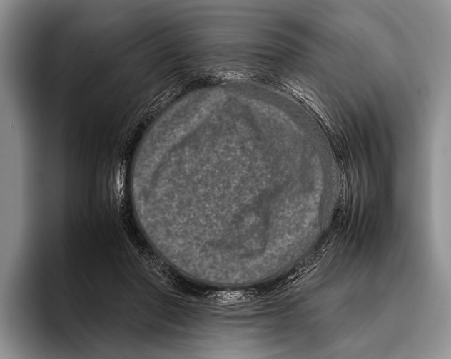 X0000095950406200802081301