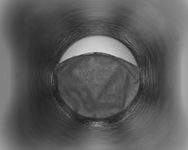 X0000095950408200802081301