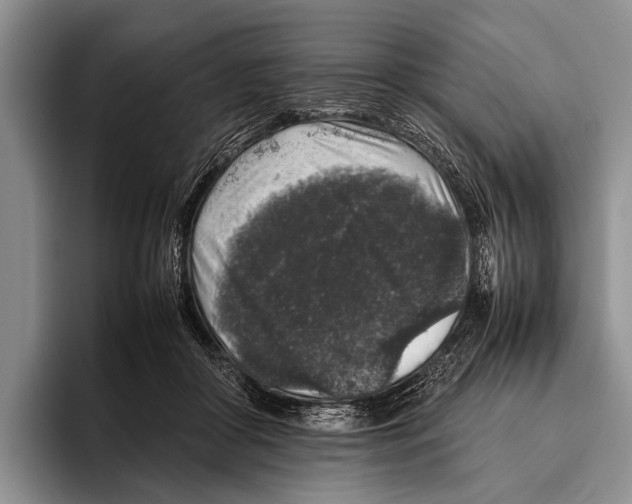 X0000095950410200802081301