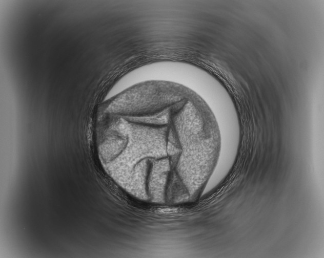 X0000095950413200802081301